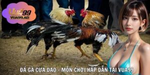 Đá Gà Cựa Dao – Môn Võ Nghệ Đỉnh Cao Được Yêu Thích Tại VUA99