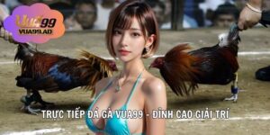 Trực Tiếp Đá Gà VUA99 – Đỉnh Cao Giải Trí Thực Tế Dành Cho Tín Đồ