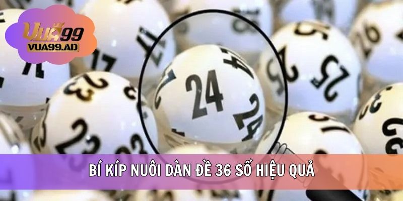 Bí kíp nuôi dàn 36 số hiệu quả