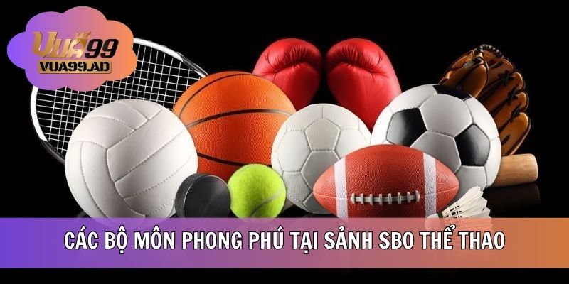 Các bộ môn phong phú tại sảnh SBO thể thao
