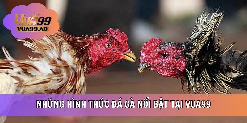 Nhiều hình thức thi đấu chọi gà tại VUA99