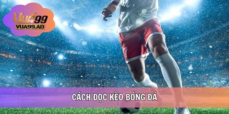 Cách Đọc Kèo Bóng Đá Chuẩn Xác - Cập Nhật Kiến Thức Hữu Ích
