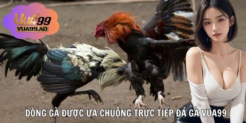 Những chú gà được lựa chọn nhiều trong game
