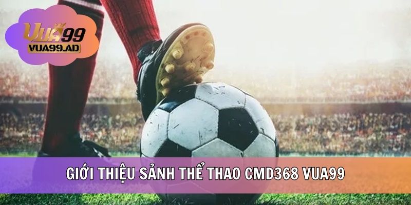 Giới thiệu sơ lược sảnh thể thao CMD368