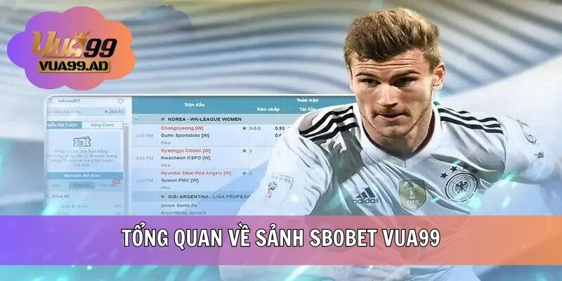 Tổng quan sảnh cược thể thao SBOBET VUA99