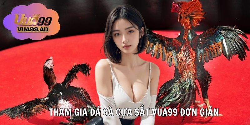 Tham gia đá gà cựa sắt đơn giản