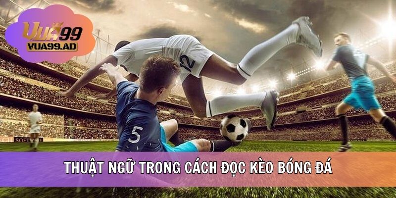 Thuật ngữ cần biết trước khi tìm hiểu cách chơi kèo bóng đá