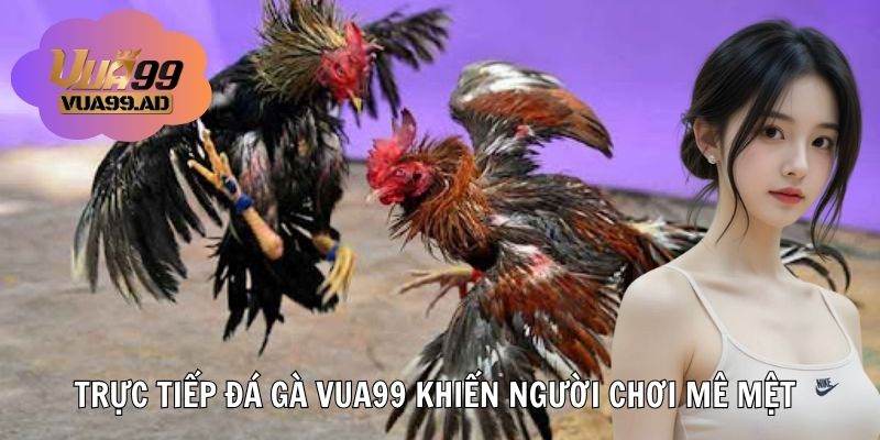 Ưu điểm nổi bật của trực tiếp đá gà