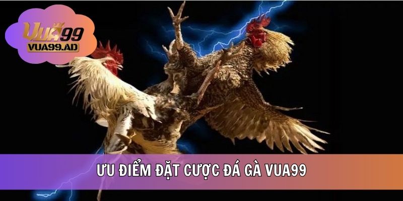 Ưu điểm đặt cược đá gà VUA99