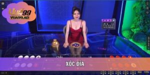 Xóc Đĩa VUA88 - Khám Phá Cách Chơi Hiệu Quả Nhất 2025